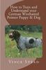 Книга How To Train And Understand Your German Wirehaired Pointer Puppy Dog by Vince Stead - Paperback