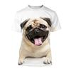 Cute Animal Pet Dog Tshirt For Men 3D Printed Funny Pug Graphic Tees Top Plus Size Short Sleeve T-shirt Homme Streetwear