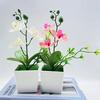 Искусственный бонсай Реалистичные три цветка Неувядающие Неувядающие Декоративные DIY Поддельные Орхидеи Фаленопсис