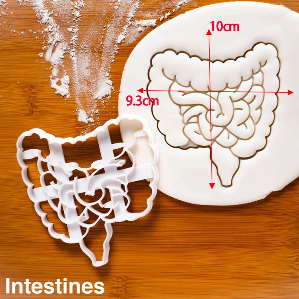 Human Organs Cookie Cutter Heart Brain Shape Fondant Icing Biscuit Mold Party Cake Decoating Baking Tools Kitchen Accessories