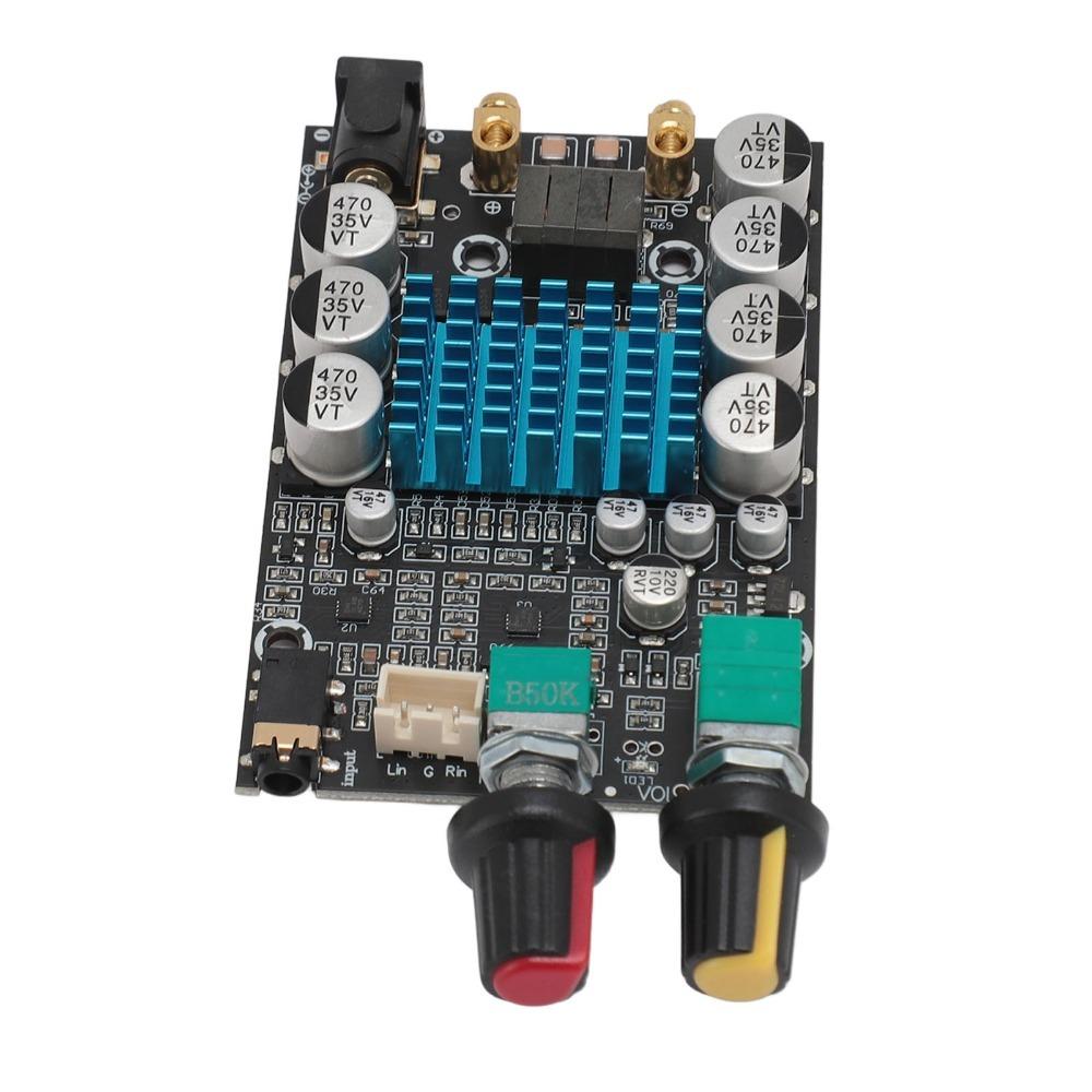 100W TPA3116 Subwoofer Amplifier Board 12-24V High Power Digital Amplifier  for DIY Speaker