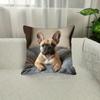 Vikama French Bulldog Realistic-Style Pillowcase Soft Comfortable Smooth Sofa Decor Cute Pet-Themed Home Cushion Cover