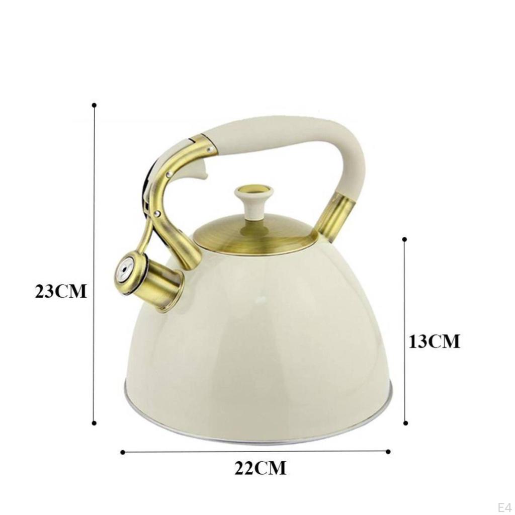 Чайник со свистком и носиком Эргономичный индукционный teakettle Герметичный