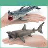 Модель Акулы Морская Жизнь Для Детей Обучающая Игрушка ПВХ Коллекционная Модель Для Демонстрации