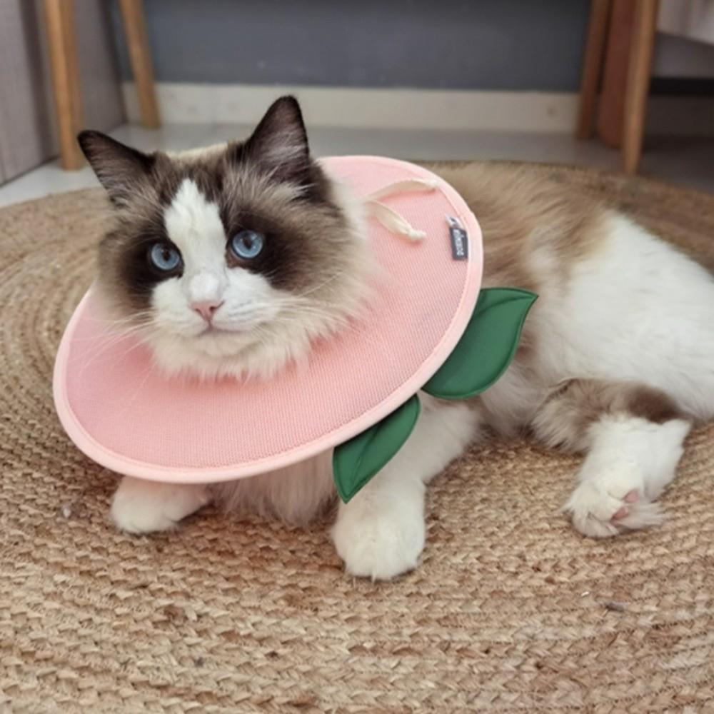 Soft Fruit Shape Kitty Recovery Collar Anti-biting Dog Protective Neck Cone  Help Wound Recovery
