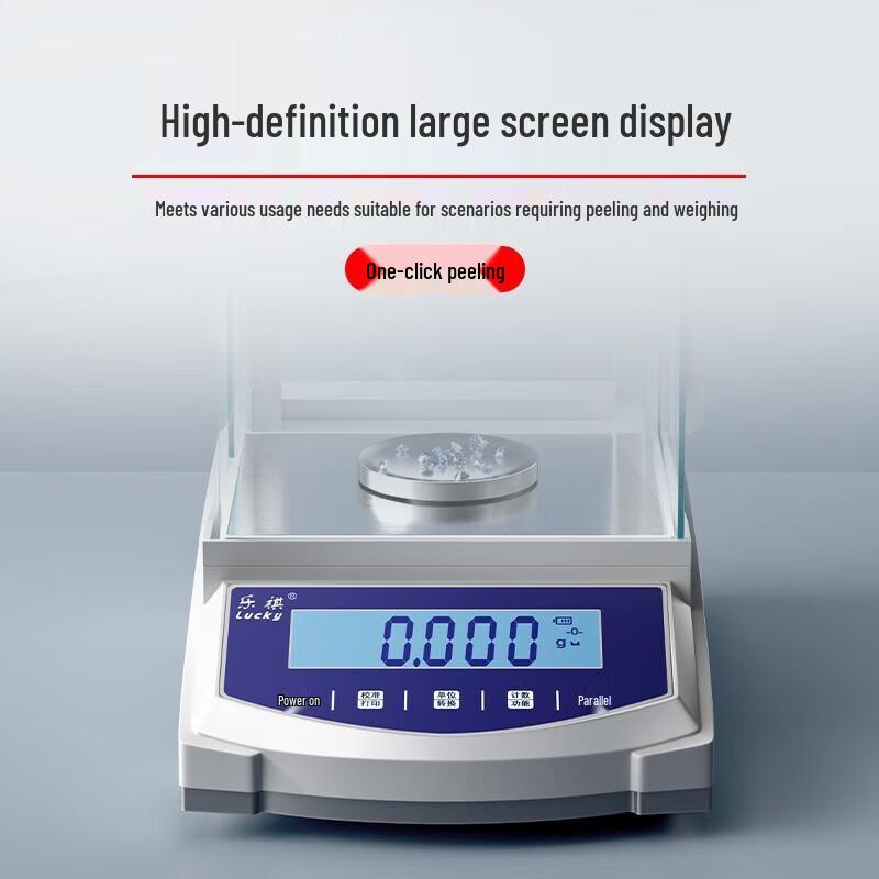 Precision Rechargeable Lab Analytical Balance (CN version)