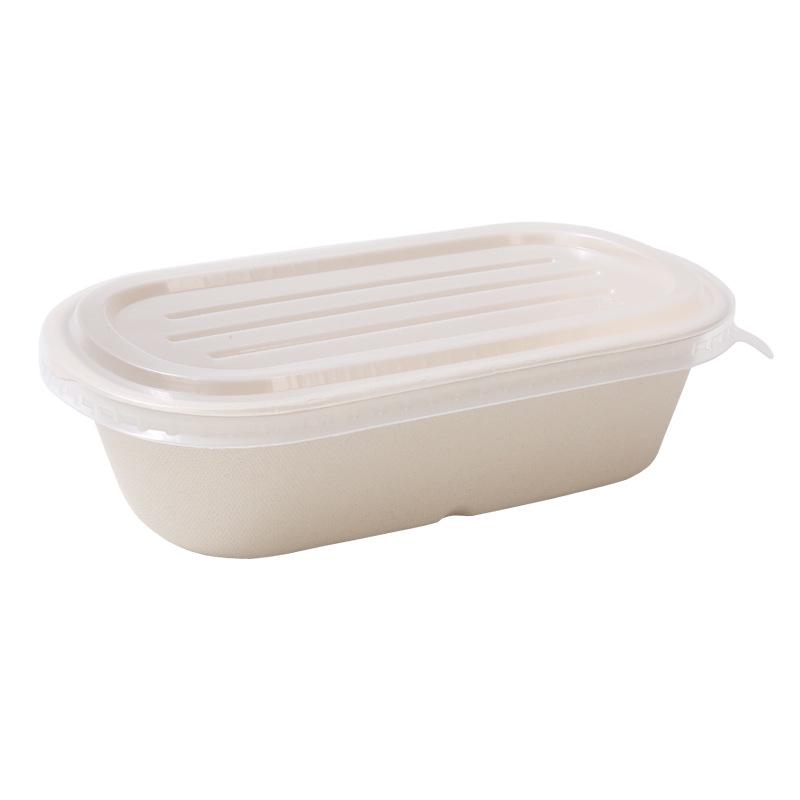 Eco-friendly Three-Compartment Disposable Bento Box – Microwaveable Paper Lunch Container for Salads and Light Meals