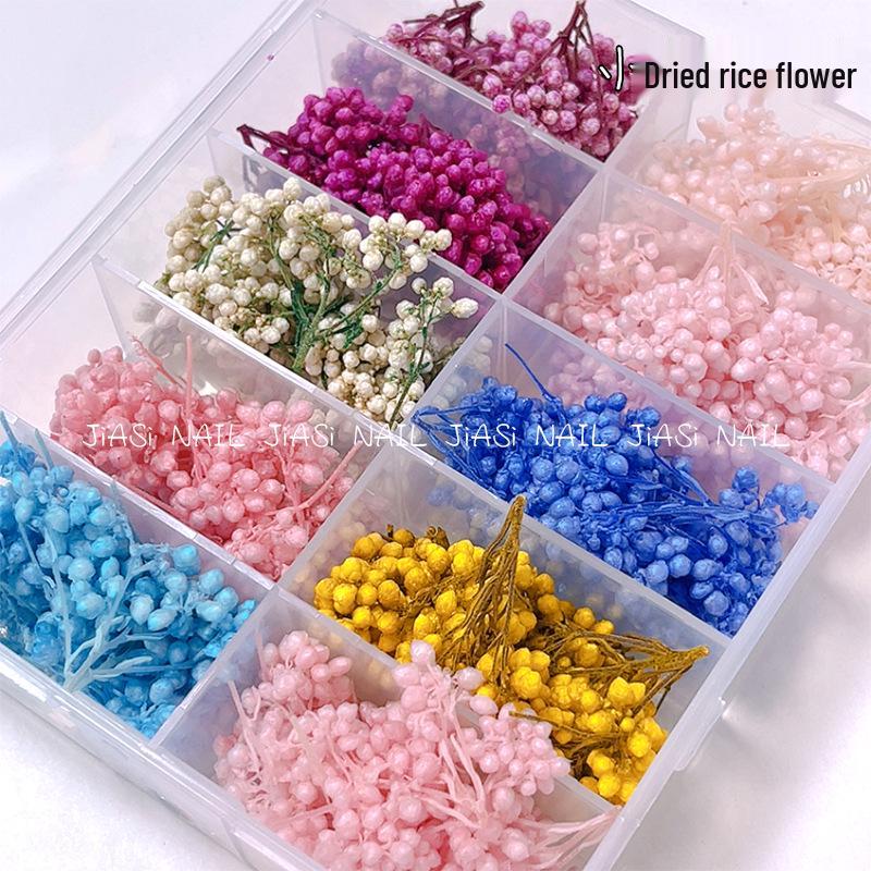 Nail Art Accessories: Dried Flower Buds & Grains for DIY Decoration
