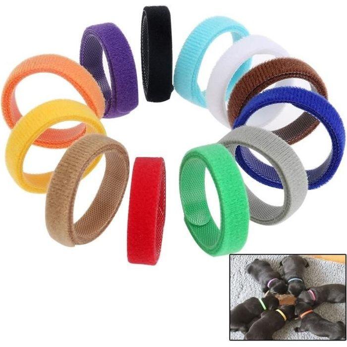 Identification Collar - Assorted - Adjustable - For Puppies and Kittens - Set of 12 - Soft and Flexible