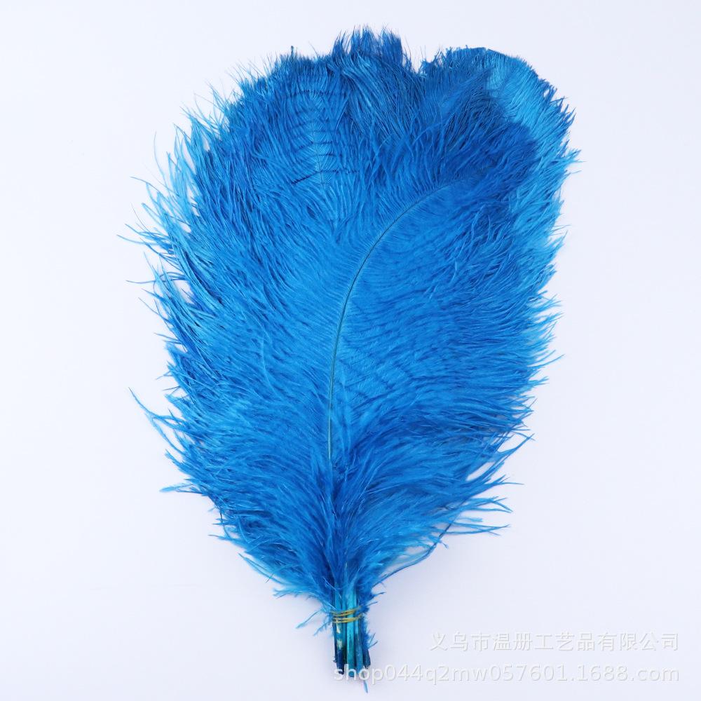 45-50 см Южноафриканское страусиное перо Современная перьевая лампа Свадебное сценическое украшение Высококачественное страусиное перо