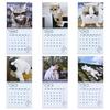 Неразумный кошачий календарь 2026 Янв.2026 - Дек.2026 12-месячный календарь Смешной котенок Настенный планер для украшения дома и офиса