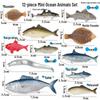 Модели животных морской фауны: Медуза, Осьминог, Морская креветка, Актиния, Кальмар, Мечехвост, Речной рак, Стрелолист