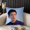 J-Ji C-Chang Wook Наволочка для дома, общежития, спинки стула, короткий плюш, двусторонняя печать, подушка для офиса, время для сна