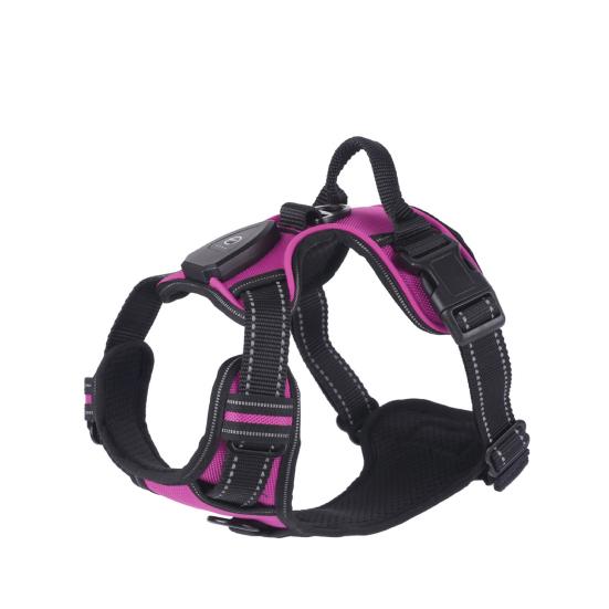 Luminous Pet Harness Rechargeable LED Lighted Dog Harness Adjustable Glowing Pet Chest Strap