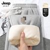 Мужские повседневные спортивные брюки JEEP SPIRIT с флисовой подкладкой