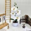 Faux Flower Phalaenopsis Bonsai Desk Decor For Home Office Decoration Wedding