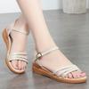 Women Summer Sandals Genuine Leather Women Shoes Sandals Plus Size Fashion Wedge Non-slip Mother Women Sandals