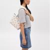 Coach City 23 Snail Print Coated Canvas And Smooth Leather Tote Bag Women Tote Bags Silver Chalk Multicolor CV269-SVCAH