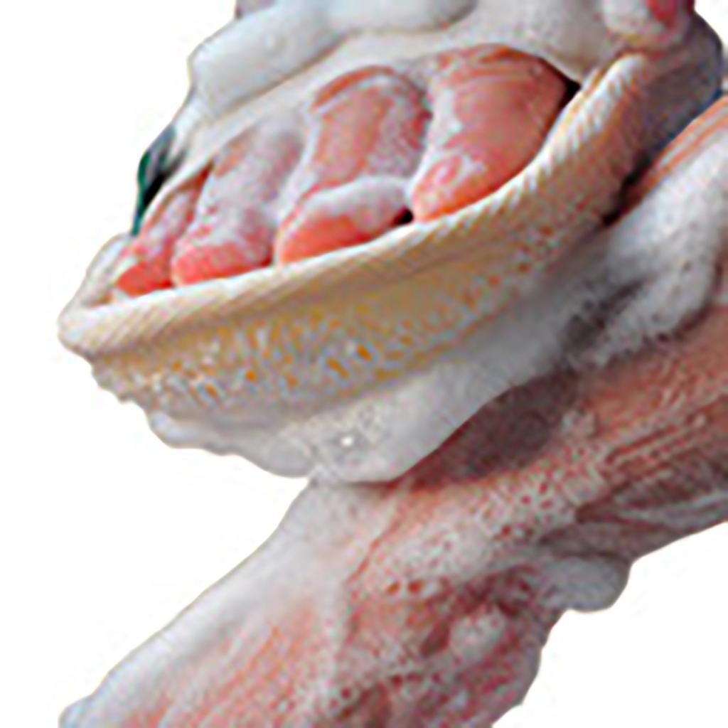 Купальные салфетки Gualuo, грязевое купальное полотенце, скраб для купания спины, скрабовое банное полотенце, японская мякоть люффы, скрабовое банное полотенце