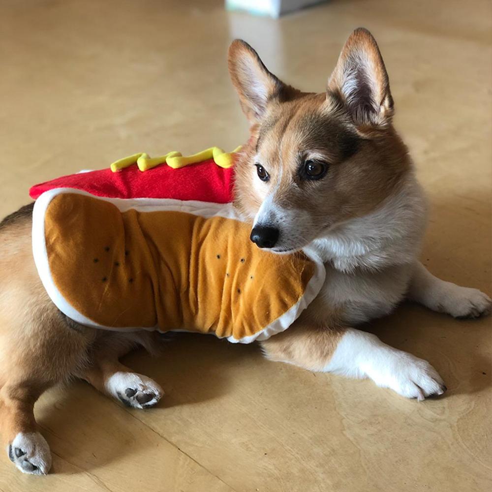 Костюм собаки на Хэллоуин, плюшевый косплей, забавный наряд для хот-догов, костюмы для домашних животных, сфинкса, щенка, подарок на вечеринку, котенок, теплый наряд для таксы, одежда, товары для домашних животных