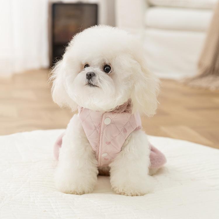 Warm Plush Pet Hooded Jacket Winter Autumn Coat Cute Lovely Dog Dress Princess Dog Clothes For Small Dog