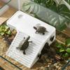 Stable Turtle Floating Platform Non-Slip Turtle Climbing Slope Reptile Ramp  Aquarium