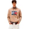 Толстовка с капюшоном RWB Flag Regular Fit