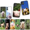 for Samsung Galaxy S25 S23 S22 S24 FE Ultra Plus A56 A05 A06 A15 A16 A57 S7 Edge Phone Cover Case Anime Cute Pig Funny