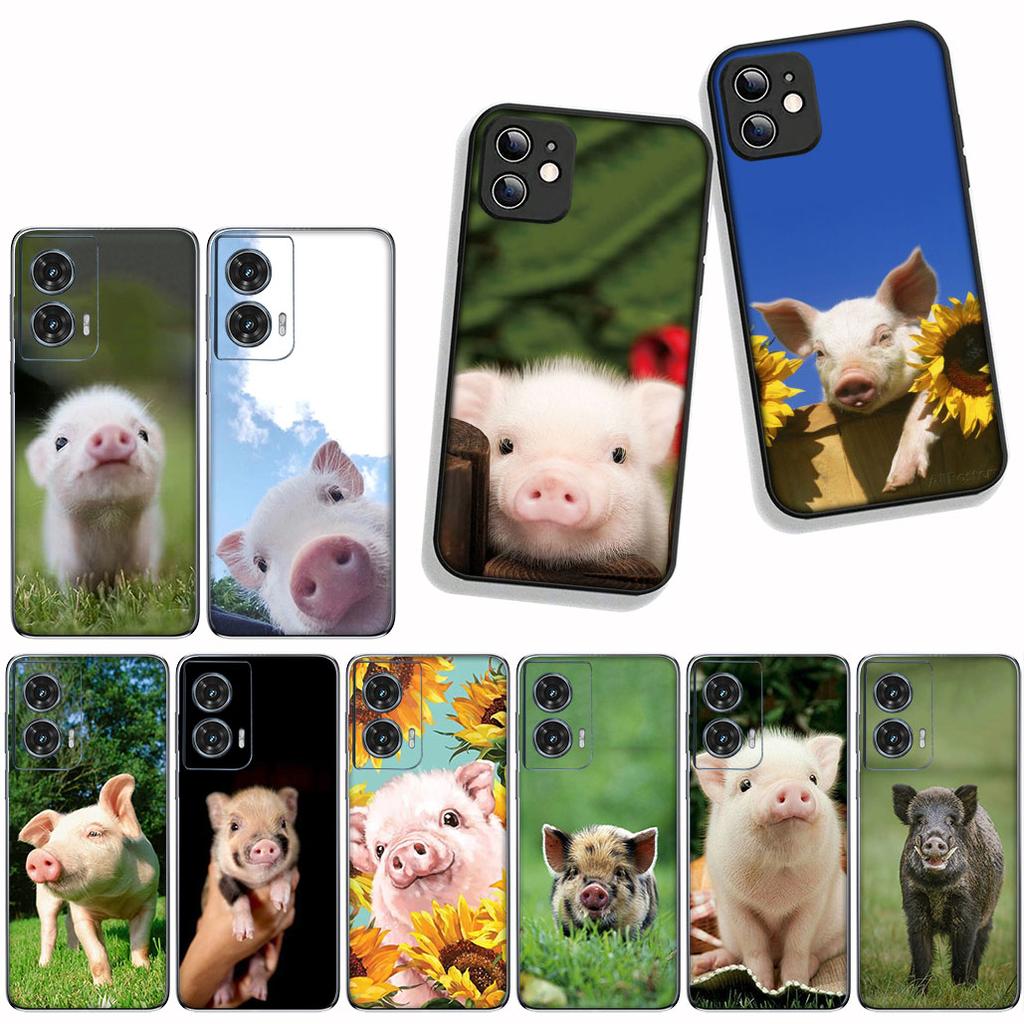 for Samsung Galaxy S25 S23 S22 S24 FE Ultra Plus A56 A05 A06 A15 A16 A57 S7 Edge Phone Cover Case Anime Cute Pig Funny