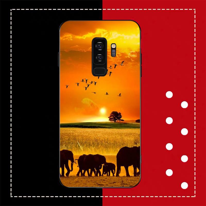 Animal Elephant  Phone Case for Samsung A51 A30s A52 A71 A12 for Huawei Honor 10i for OPPO vivo Y11 cover