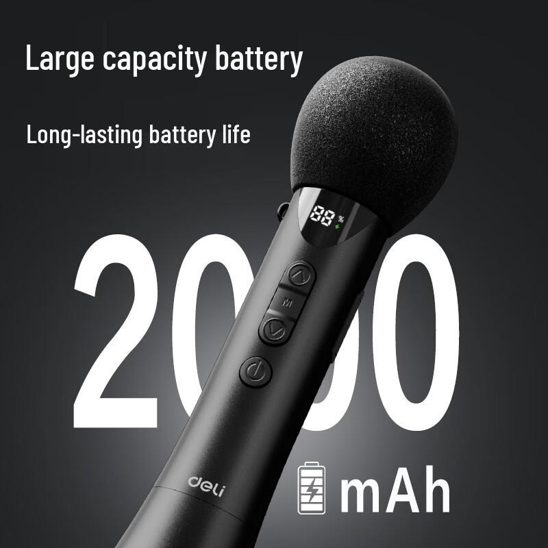 Deli LT200 12W Wireless Bluetooth Handheld Amplifier CN plug (adapter included) (CN version)