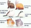 Northern Country Encyclopedia X Complete Set of 6 Types Complete Gacha Capsule Toy