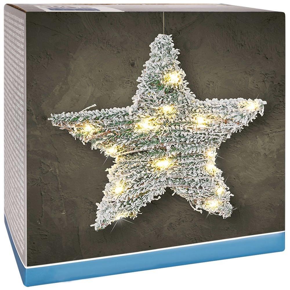 Luminous star 20 LED 30 cm