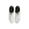 Nike Phantom Luna 2 Pro Fg 'Белый Черный Металлик Золотая Монета' FJ2575-100