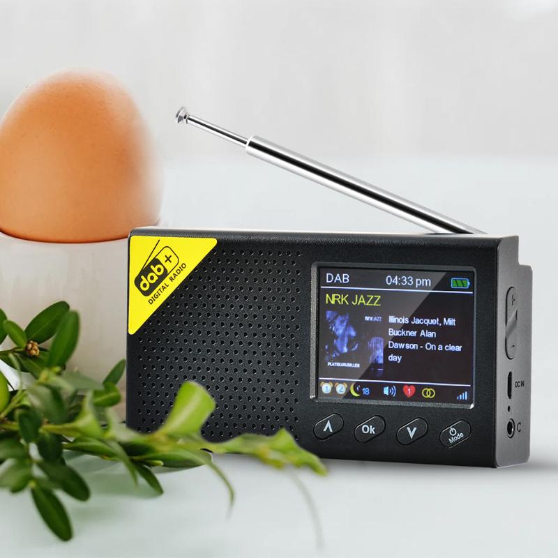 Перезаряжаемое радио Совместимость с Bluetooth 5.0 Приемник DAB Регулировка яркости экрана Micro USB 5V 1A Приемник FM