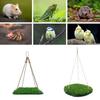 Hamster Nest Greensward Sleep Bed Hammock Cool Greensward Cage Swing for Hamster Sugar Gliders Ferrets