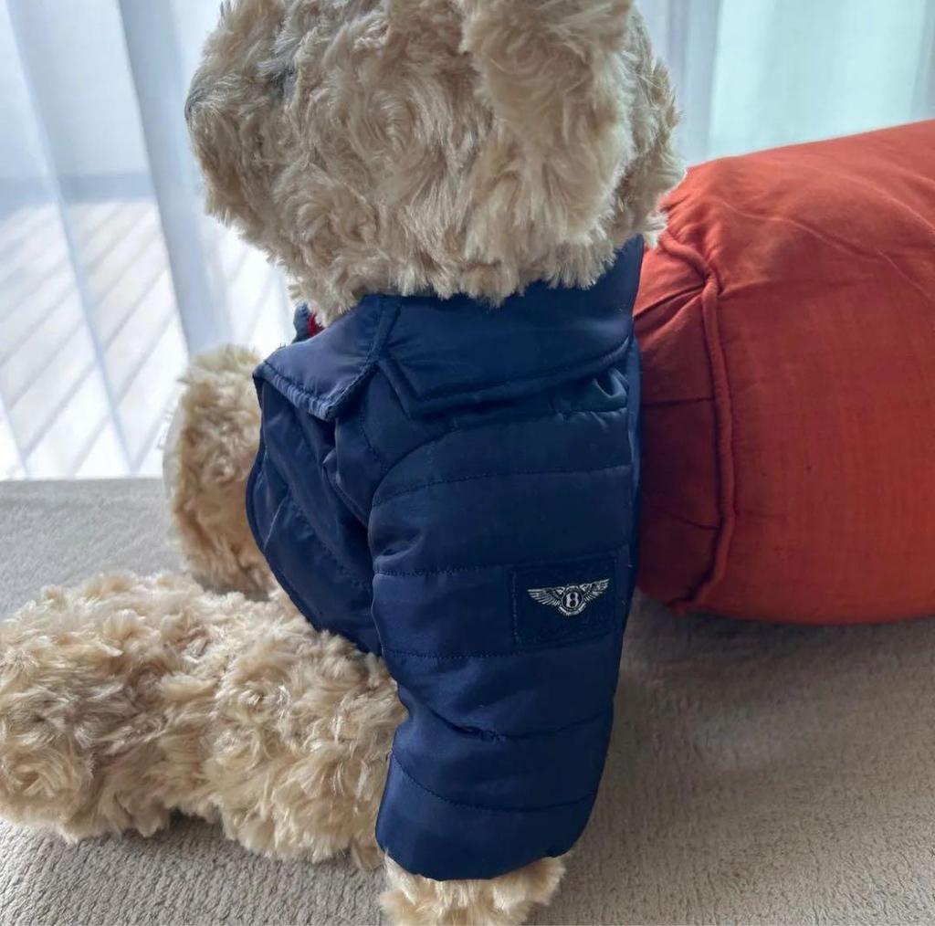 [USED] BENTLEY BEAR Bentley teddy bear plush toy