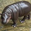 Футболка Moo Deng Tiny Baby Hippo Star Thailand Cute Pygmy Hippo Unisex для мужчин и женщин с принтом и круглым вырезом