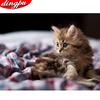 Полный дрель Алмазная вышивка 5D животное DIY Алмазная картина распродажа кошка Новое поступление украшение дома