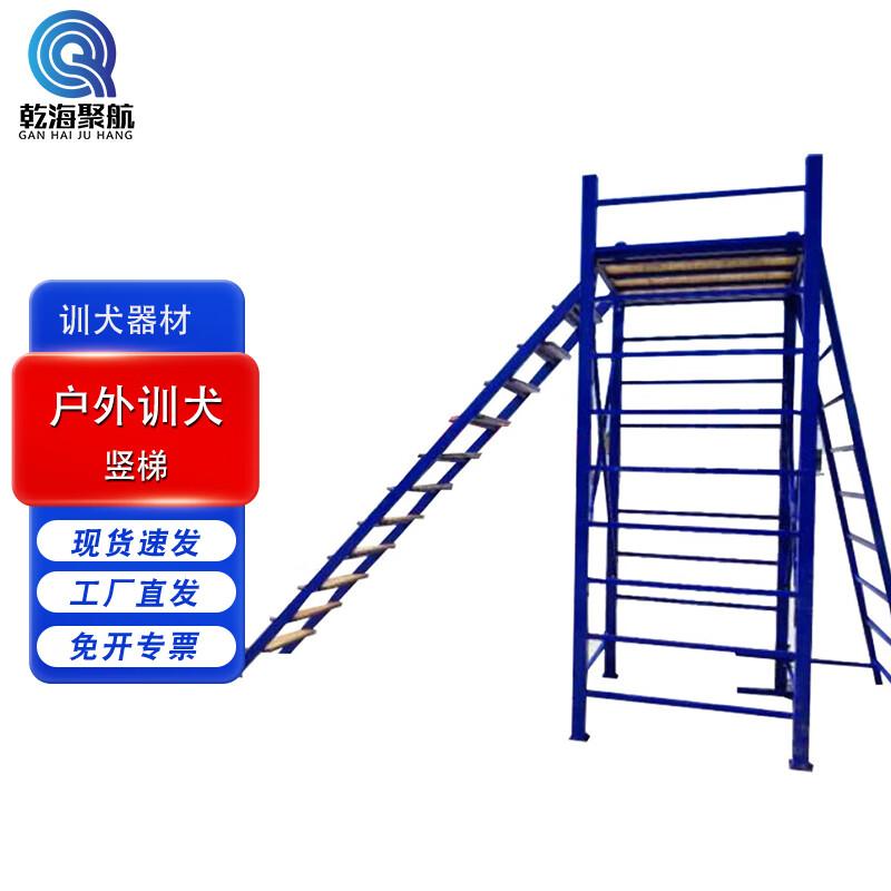 Professional Outdoor Dog Training Equipment