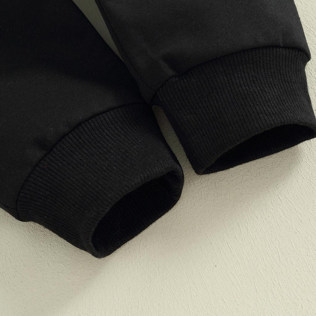 Baby 2 Piece Outfit Plush Letter Embroidery Long Sleeve Sweatshirt and Elastic Pants Set for Newborn Infant Fall Clothes