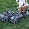Сумка-переноска для собак Pet Outing Portable Cat Dogs Handbag Crossbody Bag Дышащая Большая вместимость Кошки Маленькие домашние собаки Слинги Рюкзак