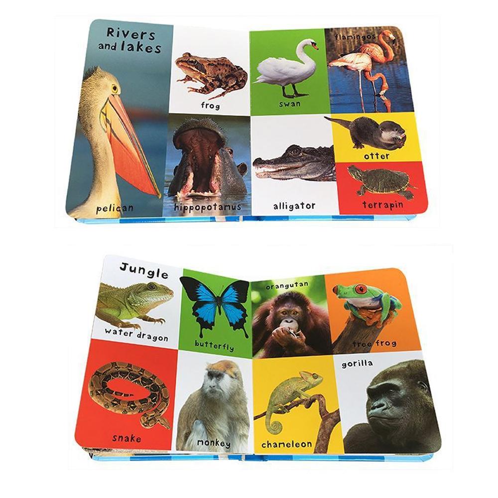 Первые 100 английских слов Картонная книга Пособия для изучения языка Пополнение словарного запаса Чтение перед сном для дошкольников