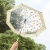 Manual Transparent Sunshade for Women 3 Folding Umbrellas Rain Gear Clear Cat Pattern Anti-Uv Compact for Travel