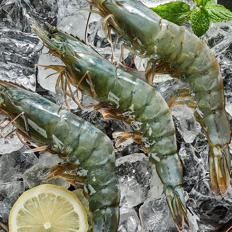 CP Thailand Imported Large White Shrimp