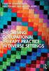 Книга Theorising Occupational Therapy Practice In Diverse Settings