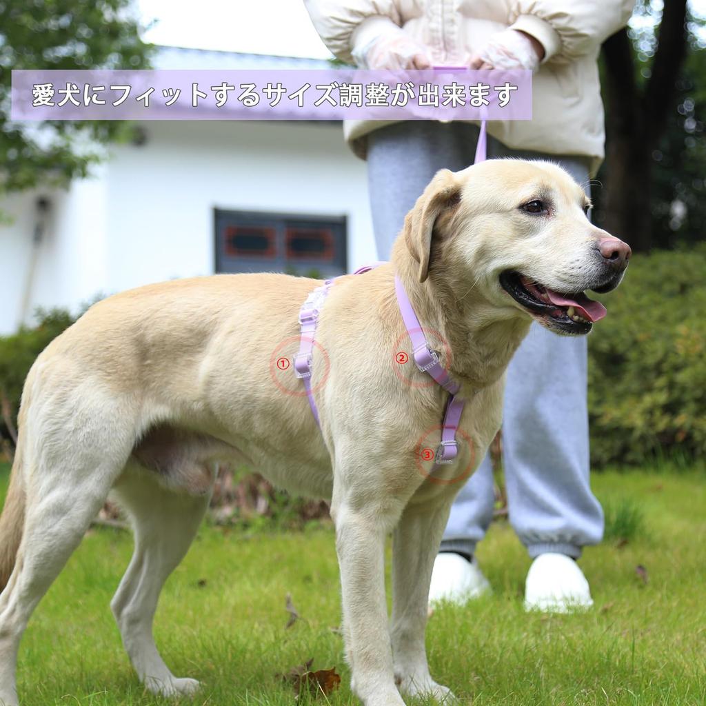 Maychan Waterproof Resistant To Oil and 3 Small and Medium Dog Odor Resistant Harness, Water, Abrasion, Colors, Collar, Lead, Adjustable, Lightweight,