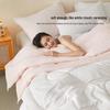Mercury Antibacterial All-Season Two-in-One Fiber Duvet