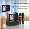 Портативная система караоке KTV SANSUI W200, штепсель CN (адаптер в комплекте)