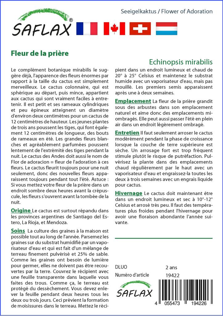 SAFLAX Garden in the Bag - Flower of Adoration - 40 семян - С субстратом в подходящем пакете - Echinopsis mirabilis